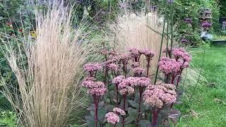 Garden Tour August 2023 // August flowers // cottage garden