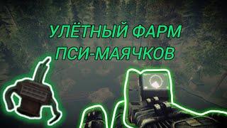 Где лучше всего фармить пси маячки | STALCRAFT X