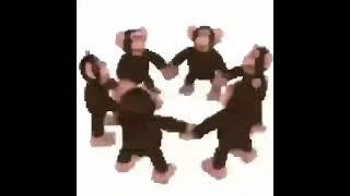 Happy Monkey Circle