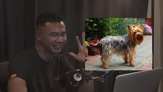 BENEDICT TAN REVIEWS DOG BREED