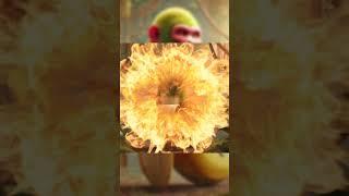 SHIMPANZINI BANANINI   шимпанзини бананини #обезьяна #банан #mankey #banana #mem #memes #мем