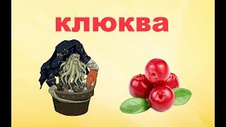 Чтоб ты знал о клюкве