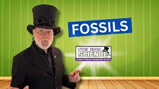 Fossils - Educational Video for Kids