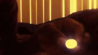 joshua haynes's Webcam Video from March 21, 2012 07:52 AM
