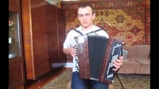 тонкая рябина