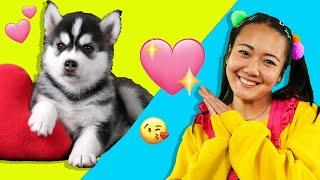 Ellie Walks Puppy at Animal Shelter | Ellie Sparkles | WildBrain Live Action