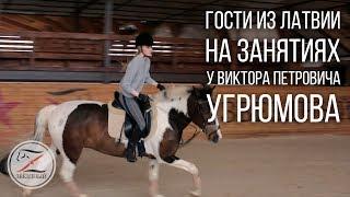 Гости из Латвии. Уроки верховой езды. Выездка.