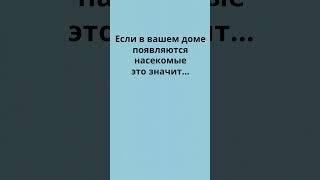 Вот что означает появление этих насекомых в доме...