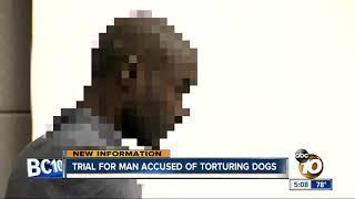 Trial for man accused of torturing dogs