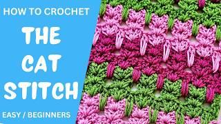 How To Crochet CAT STITCH - Fun & Easy Tutorial For Beginners By Crafting Happiness
