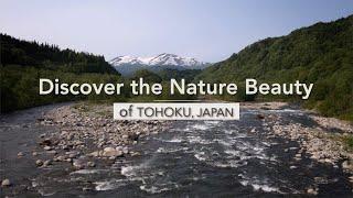 Discover the Nature Beauty of TOHOKU, JAPAN /Thai Airways