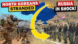 First Group of North Korea Troops Surrendered to Ukraine! Thousands of Them STRANDED Helplessly!