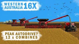 Is this Peak Autodrive? 12 Combines - Western Australia 16x - Ep08 - FS19