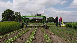 Der Gartenbau-Profi zu Besuch auf dem Akker van de toekomst