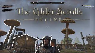 The Elder Scrolls online - Я ВООБЩЕ КУДА ПОПАЛ?