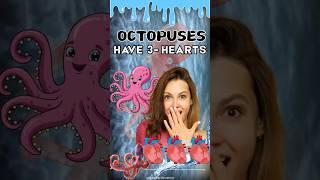 Octopuses Have 3 Hearts                                                     #octopus #shortsfacts
