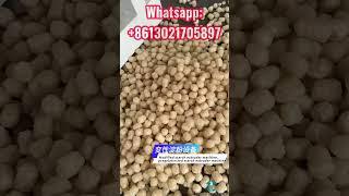 Modified starch extruder machine | Pregelatinized extruder machine | EagleExtruder.com