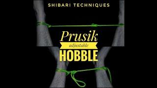 Shibari techniques: Prusik adjustable hobble