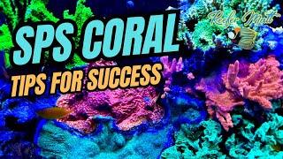 SPS Coral Care in the Reef Tank