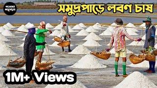 কিভাবে লবণ তৈরি হয় || এক ভিডিওতে পুরো বিষয় জানুন