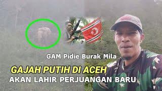 Gajah Putih Turun Ke Kampung di Aceh | Sebut Bang Burak Mila Gam Pidie Pertanda Lahir Pemimpin Adil