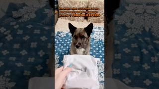 А вы заказывали что-то с #temu или #aliexpress  ?  #dog #fannyvideo