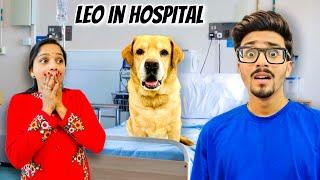 LEO IN HOSPITAL | Leo Ko Kya Hogya? | Anant Rastogi