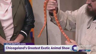 Chicagoland's Greatest Exotic Animal Show