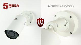 Обзор 5 Мп IP-камеры BEWARD SV3218RBZ2: монтажная коробка, объектив 2.7-13.5 мм, аналитика, от -40°С