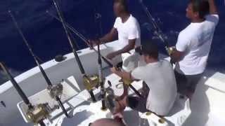 BIG GAME FISHING MAURITIUS TUNA MARLIN DORADO SHARK SPORT FISHER