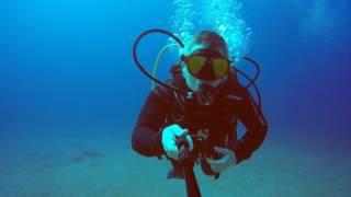 Diving in Cancun MX