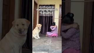 Tere hwale ️ || labra rubi || #shorts #youtubeshorts #labrador #dog #cute #emotional #viralshort