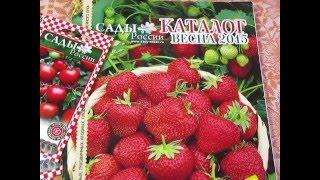 Семена от НПО Сады России  каталог весна 2016