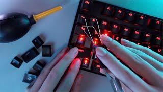 [ASMR]Cleaning a Mechanical Keyboard(No talking)