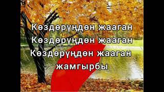 Сыймык Бейшекеев "Күзгү нөшөр". Караоке