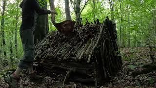 Solo-Camp. Bau eines primitiven Geheimschutzes im Herbstwald