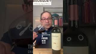 Domaine Bousquet Mendoza Grand Cabernet Sauvignon 2021 92 Points #cabernet #shorts #wine
