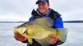 Ice Fishing Giant Crappies in Wisconsin - In-Depth Outdoors TV Season 13, Episode 10