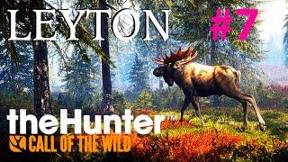 Мой Пёс SID и Я - Охота с Собакой. theHunter: Call of the Wild™ "Озерный край Лейтон" #7