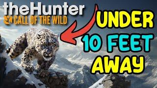 BOW Hunting SUNDARPATAN Animals - TheHunter: Call of the Wild