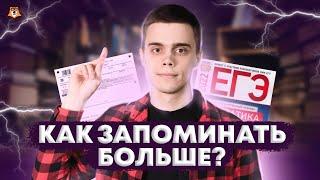 Подготовка к ЕГЭ: как запоминать информацию | Умскул 10 класс