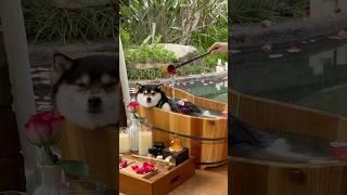 ASMR MANYU – Into Nature Series | Immersive Spa & Bath