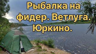 ТРИ ДНЯ на красавице - ВЕТЛУГЕ. ОТДЫХ и РЫБАЛКА. Уха на костре.