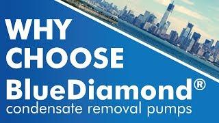 Why pick BlueDiamond® Pumps? (USA)