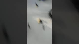 Велосипед из ЛЕГО