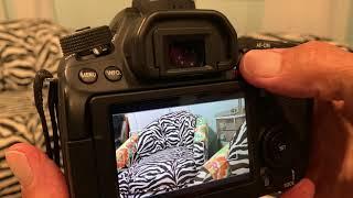 How to record video clips on your Canon 80D SLR Camera