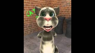 Duisburger Jungs Talking Tom (MSV Duisburg)