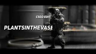 CSGO Edit // plantsinthevase