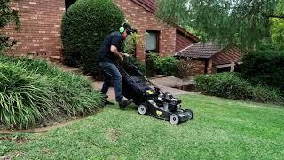 Bushranger 800SP Self Propelled Mower
