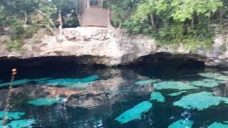 Nelly at Cenote Azul, Yukatan (short version)